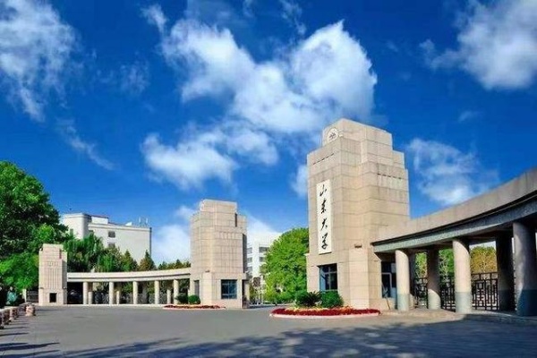 山东大学新马方向精品班