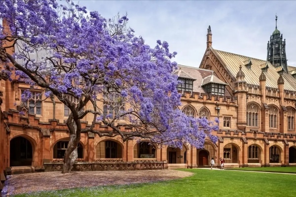 悉尼大学和澳大利亚国立大学的录取要求有什么区别？