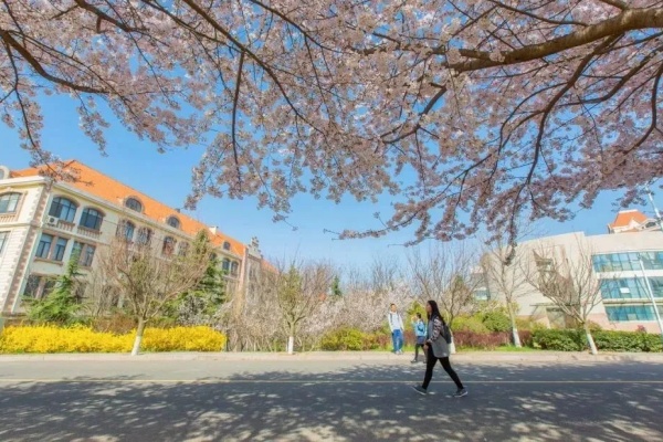 中国海洋大学1+3国际本科留学项目招生简章