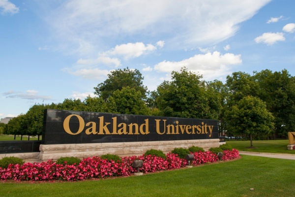奥克兰大学的哪些专业在世界上处于领先地位？